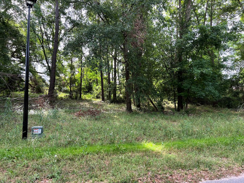 Listing Photo 140081
