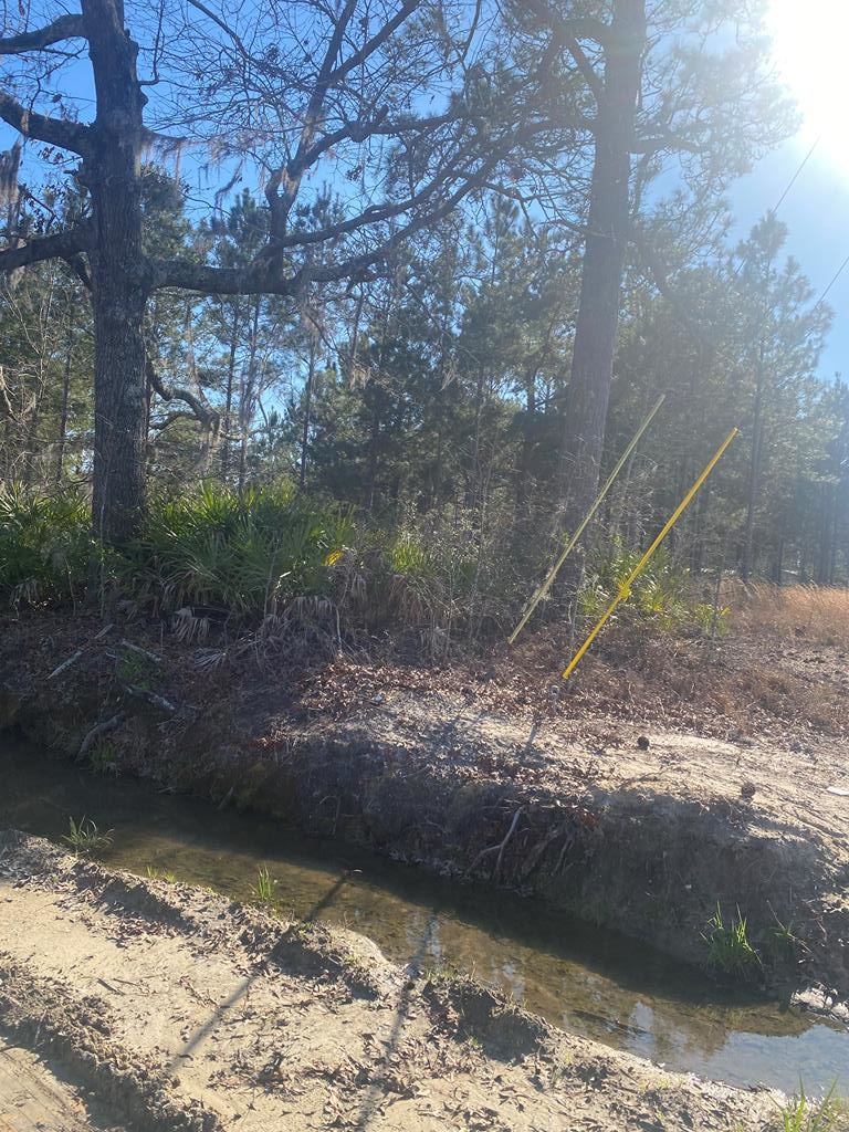 Listing Photo 144051
