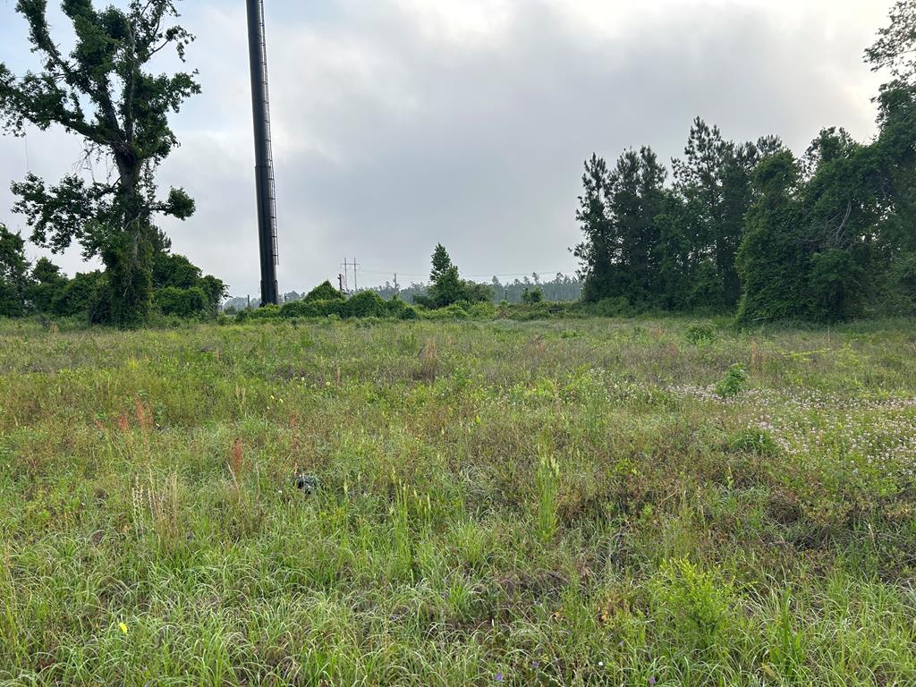 Listing Photo 144640