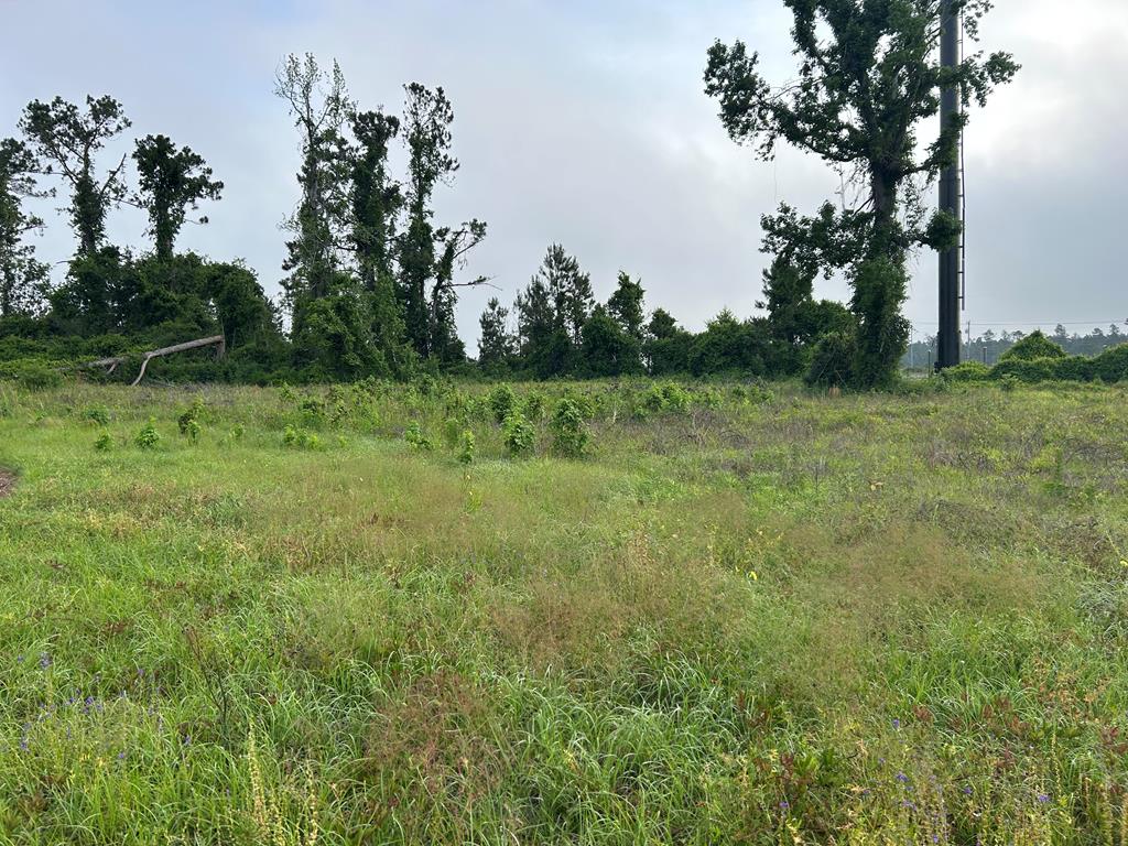 Listing Photo 144641