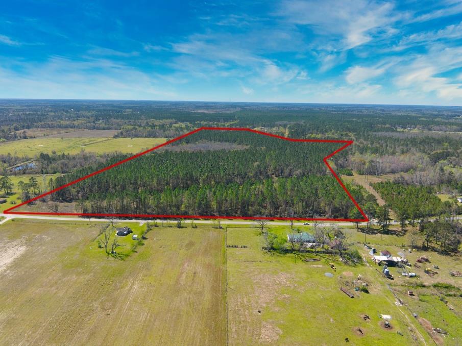 Listing Photo 144683