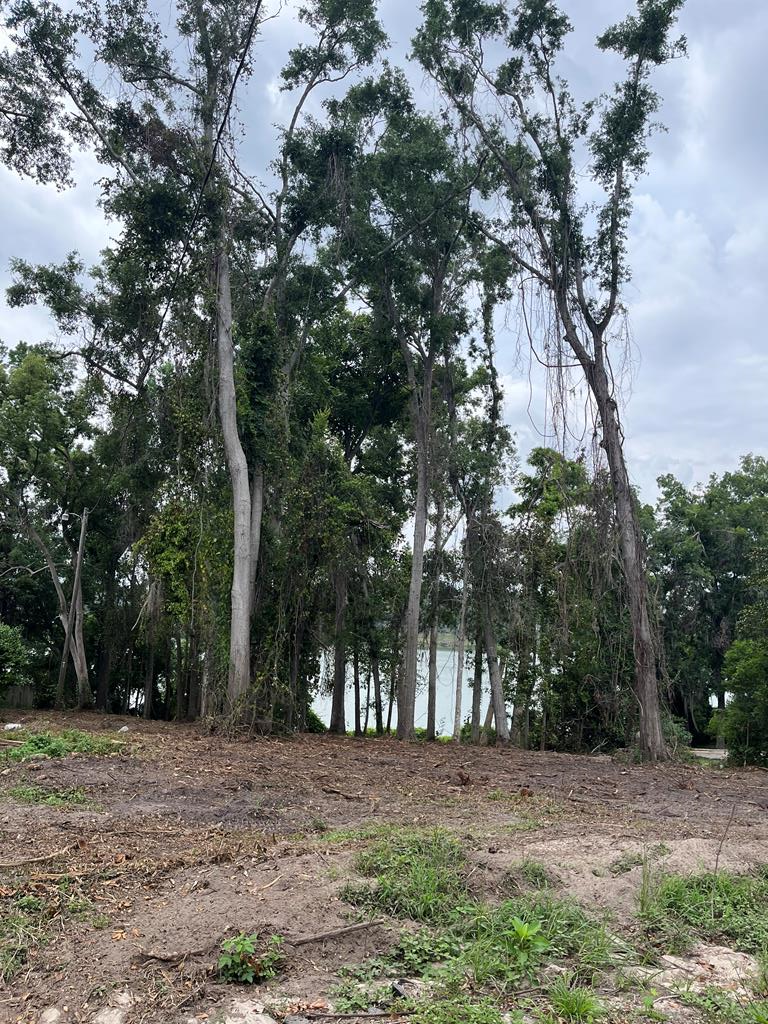 Listing Photo 144979