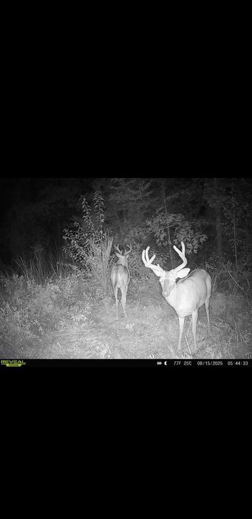 Listing Photo 145942