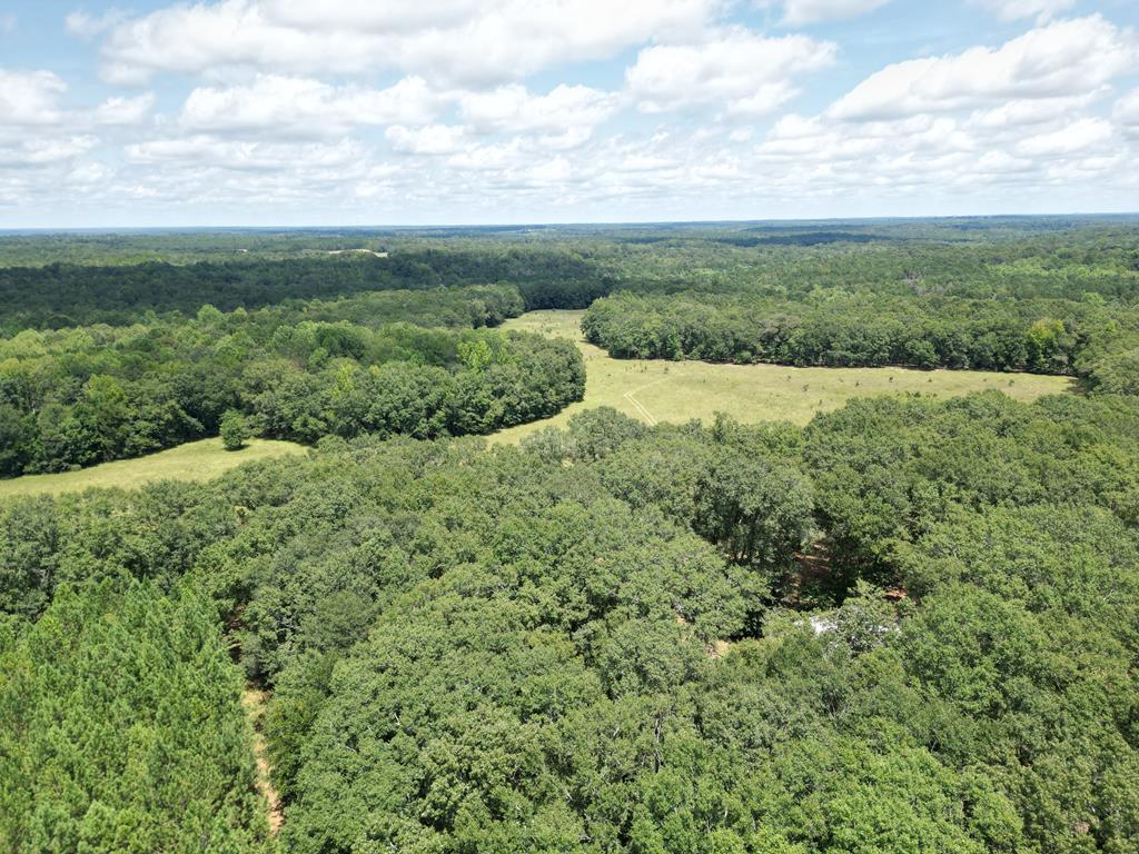 Listing Photo 145977