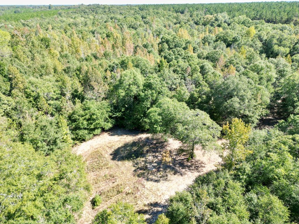 Listing Photo 146519