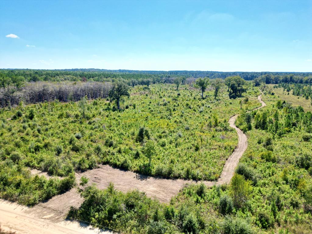 Listing Photo 146520